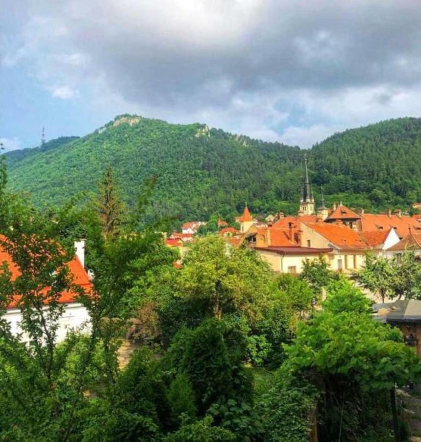 Casa Alise-luise Apartment Brasov